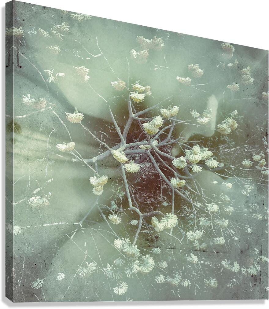 V1673 Canvas Print