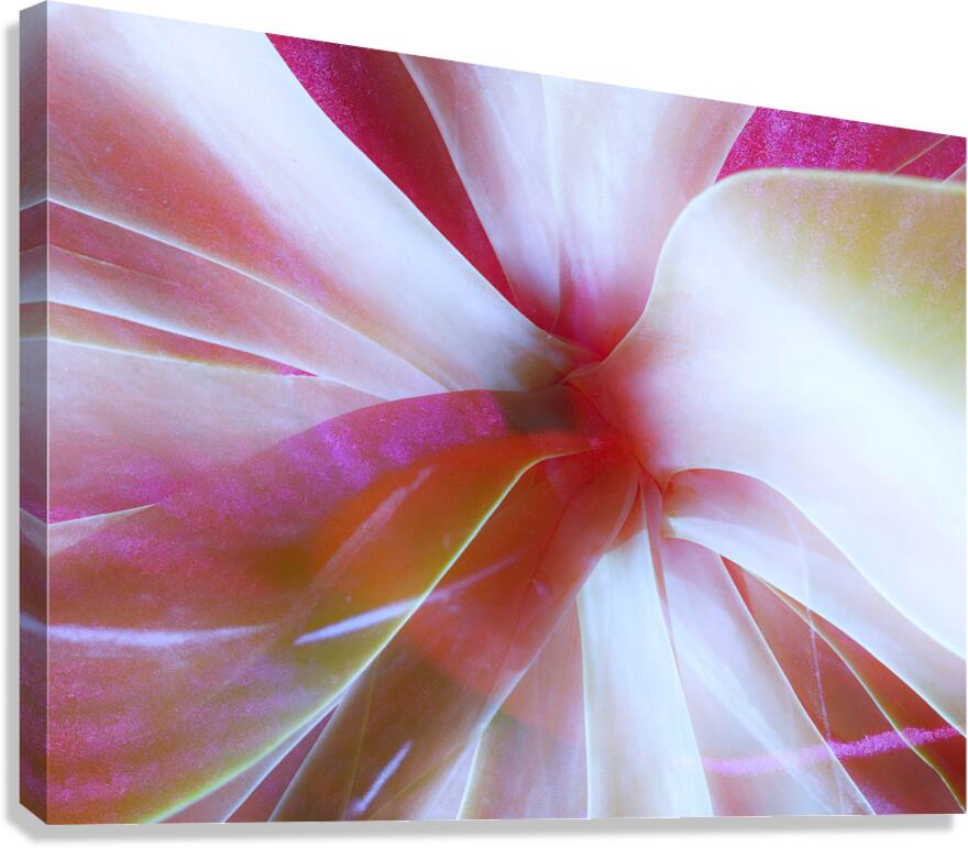 V1674 Canvas Print