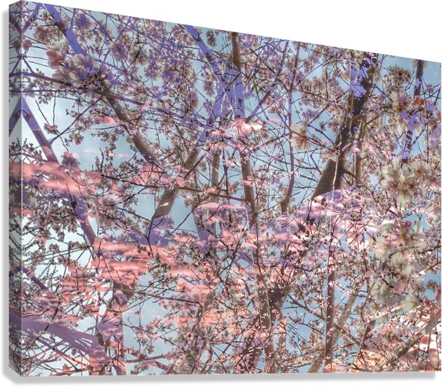 V1675 Canvas Print