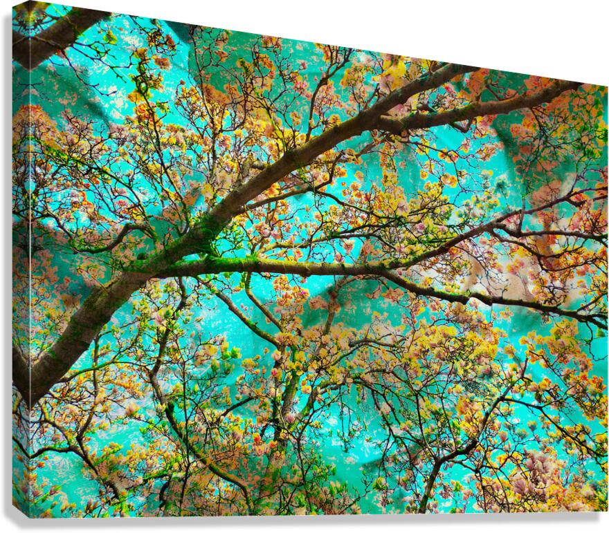 V1676 Canvas Print