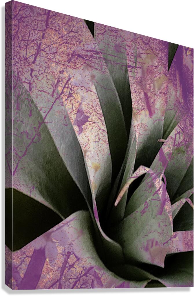 V1677 Canvas Print