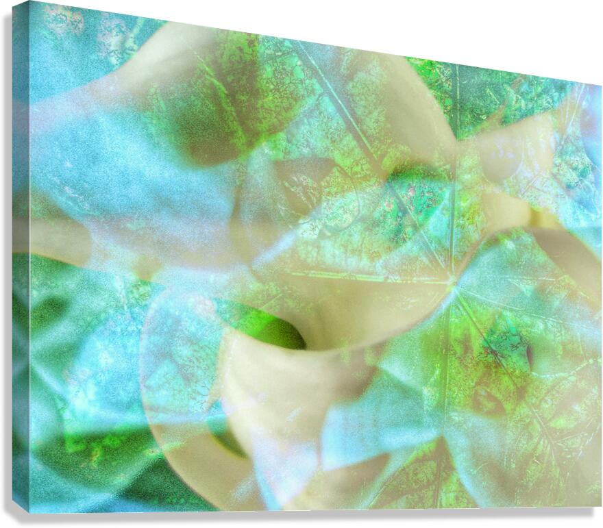 V1678 Canvas Print