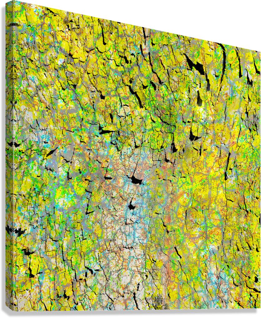 V1679 Canvas Print
