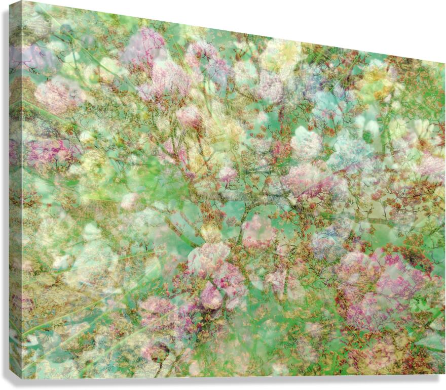 V1680 Canvas Print