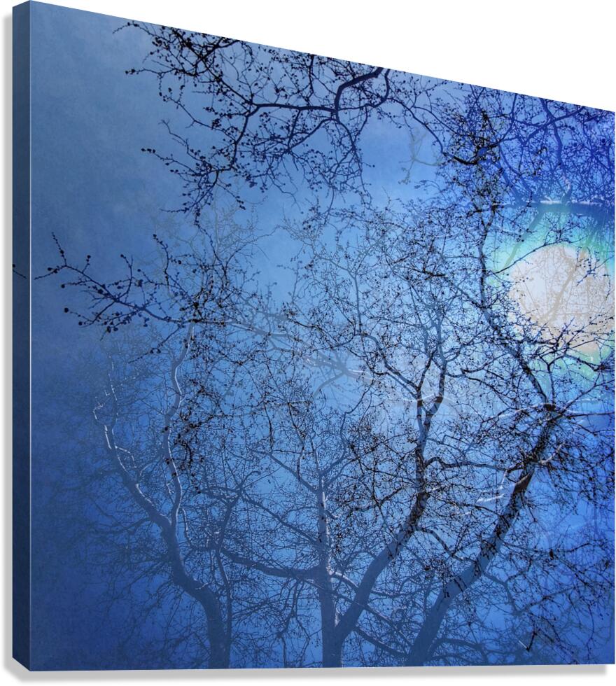 V1683 Canvas Print