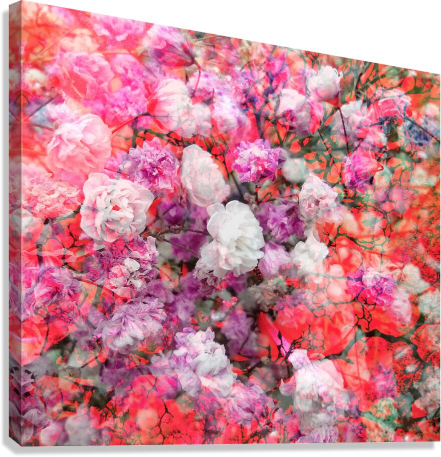 V1686 Canvas Print
