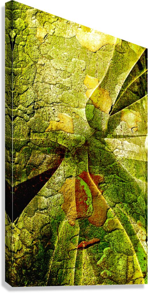 V1687 Canvas Print