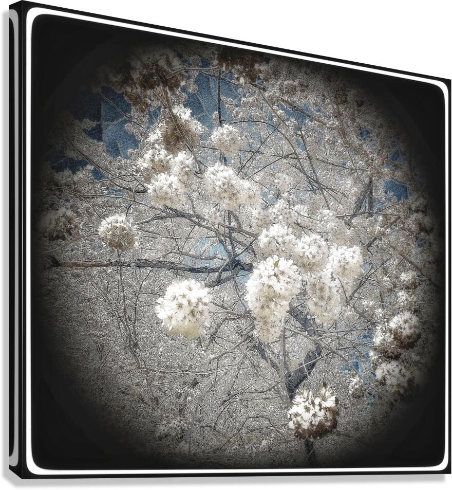 V1688 Canvas Print