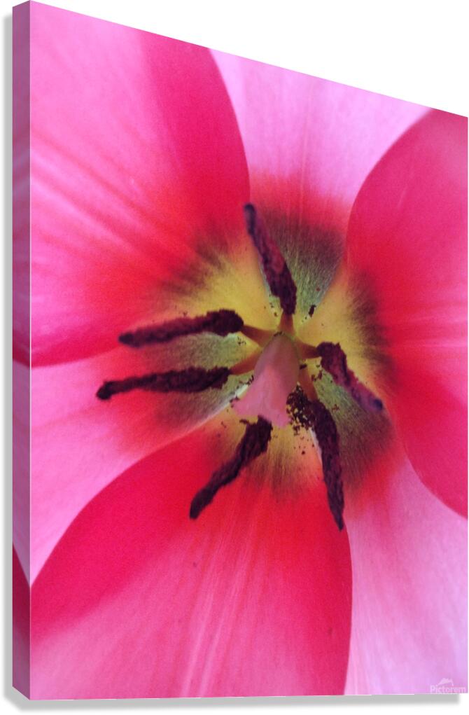 V1691 Canvas Print