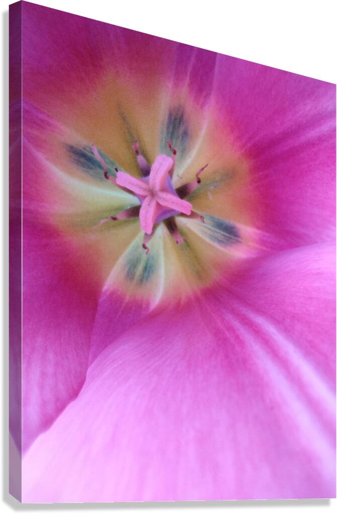 V1692 Canvas Print