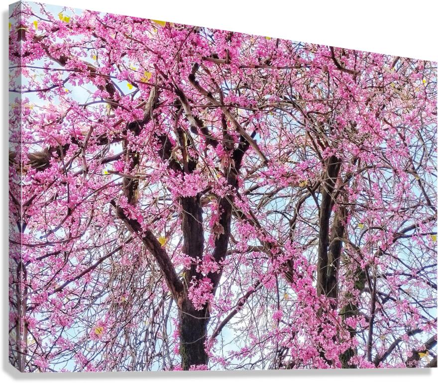 V1698 Canvas Print