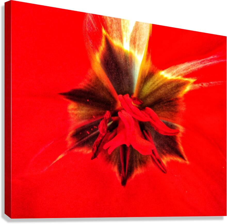 V1700 Canvas Print