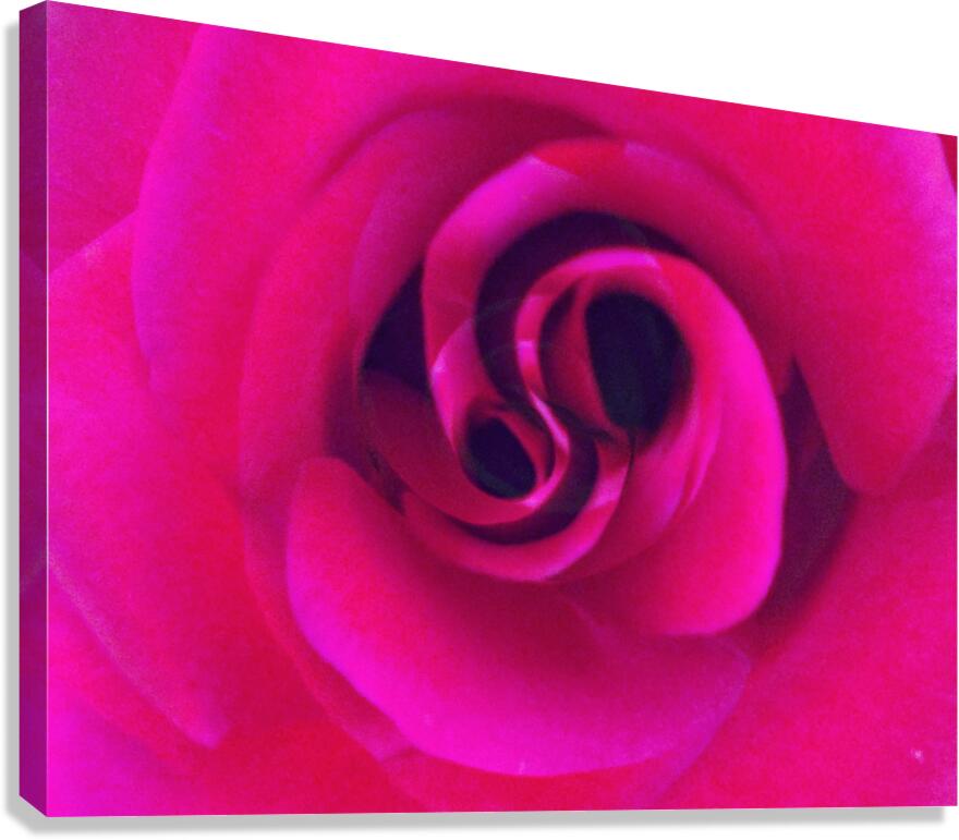 V1701 Canvas Print