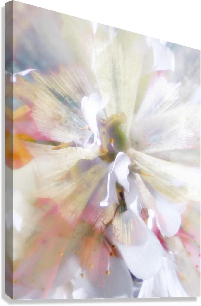 V1702 Canvas Print
