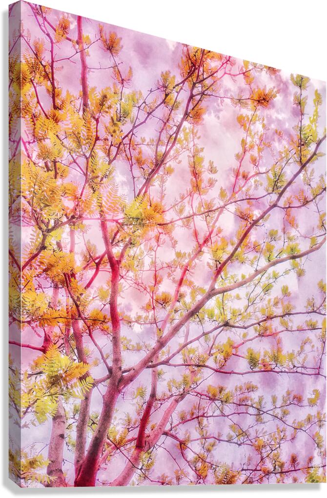 V1703 Canvas Print