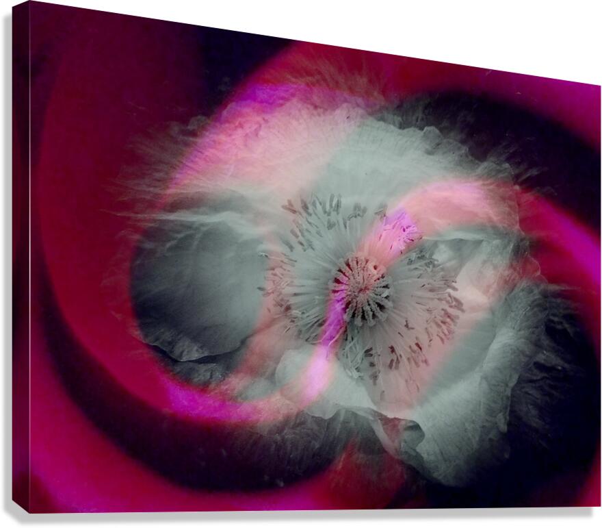 V1707 Canvas Print