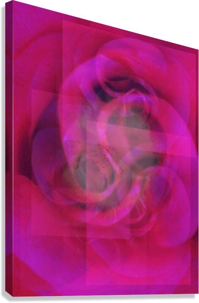 V1709 Canvas Print