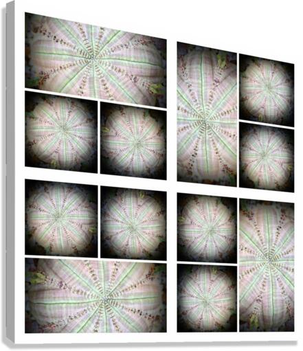 V01 Canvas Print