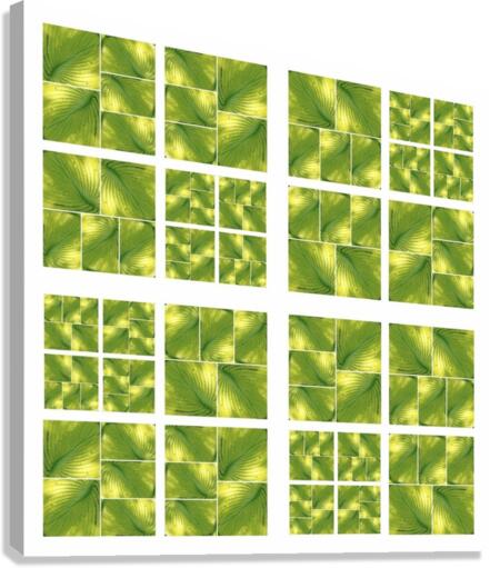 V02 Canvas Print