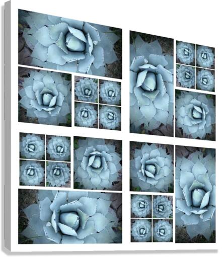 V05 Canvas Print