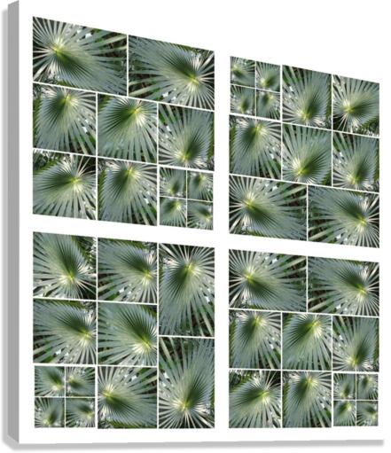 V09 Canvas Print
