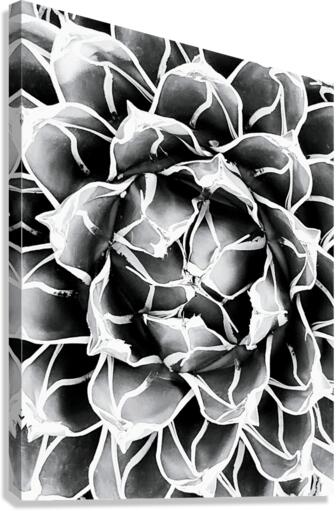 V10 Canvas Print