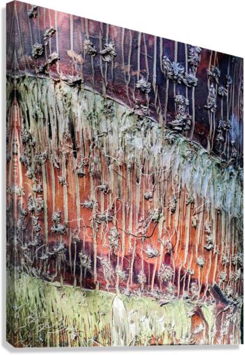 V15 Canvas Print