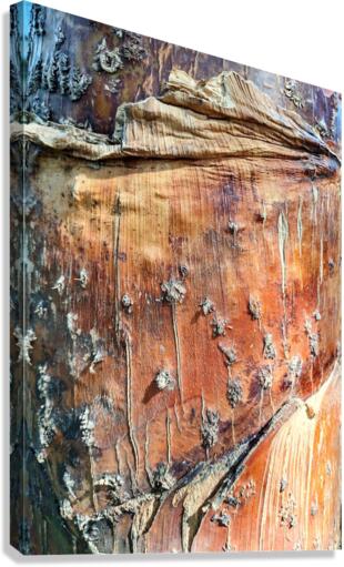 V16 Canvas Print