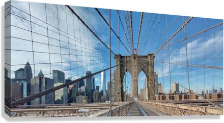 V20 Canvas Print