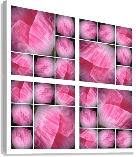 V21 Canvas Print