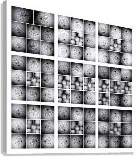 V22 Canvas Print