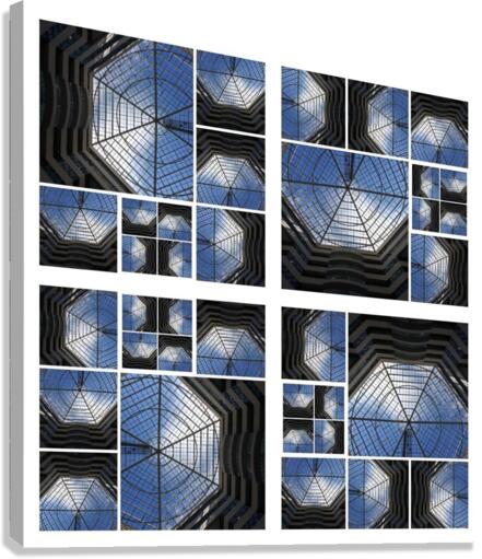 V23 Canvas Print