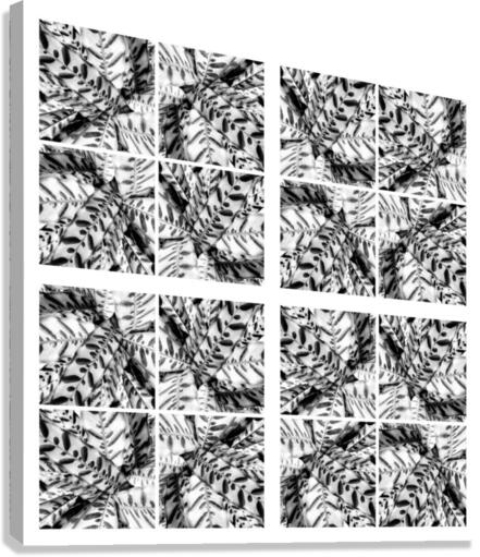 V25 Canvas Print