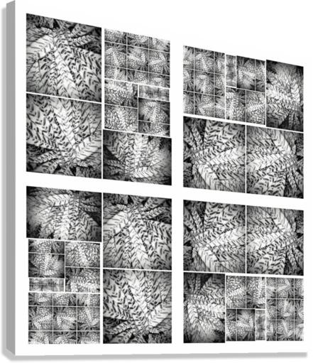 V26 Canvas Print