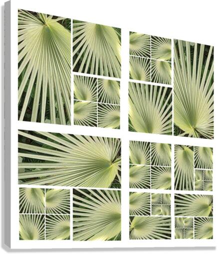 V27 Canvas Print