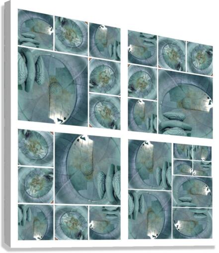 V29 Canvas Print