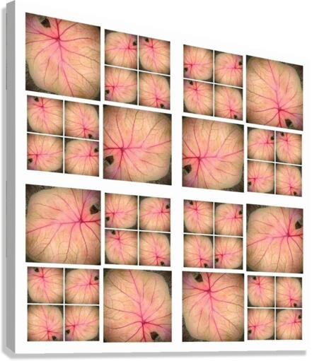 V33 Canvas Print