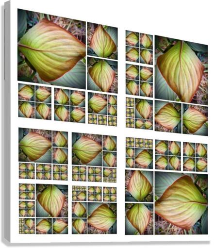 V34 Canvas Print