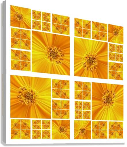 V36 Canvas Print