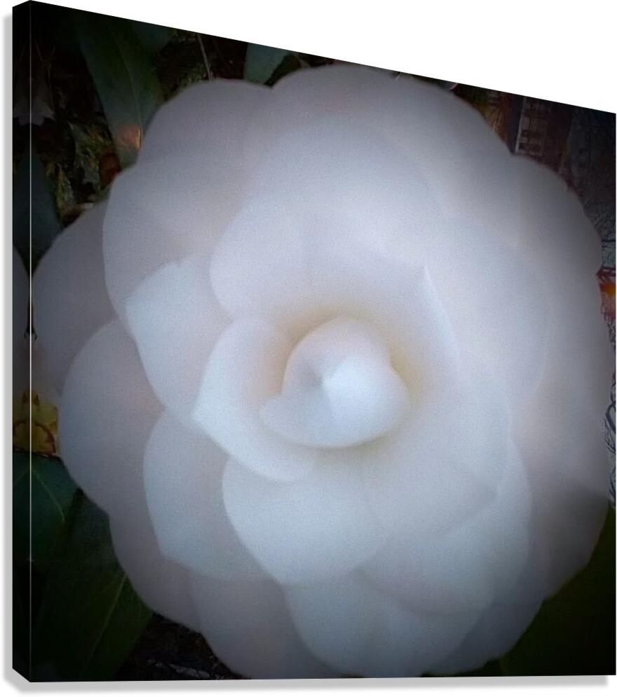 V42 Canvas Print