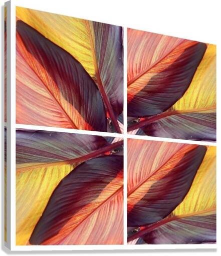 V44 Canvas Print