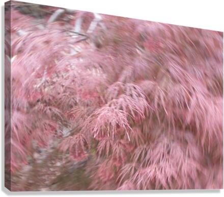 V45 Canvas Print