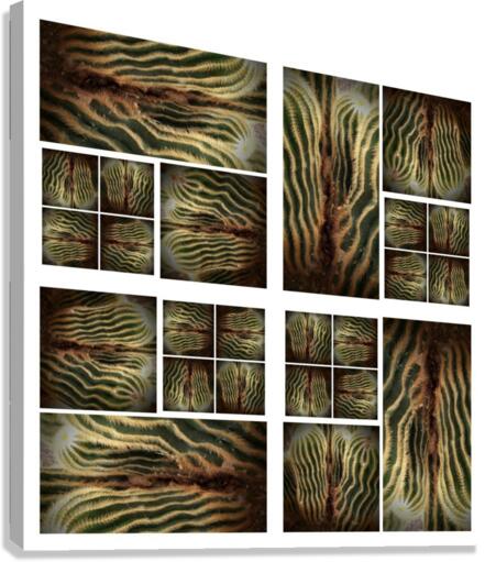 V48 Canvas Print