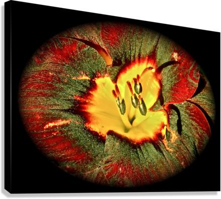 V50 Canvas Print