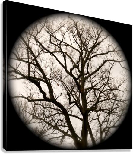 V51 Canvas Print