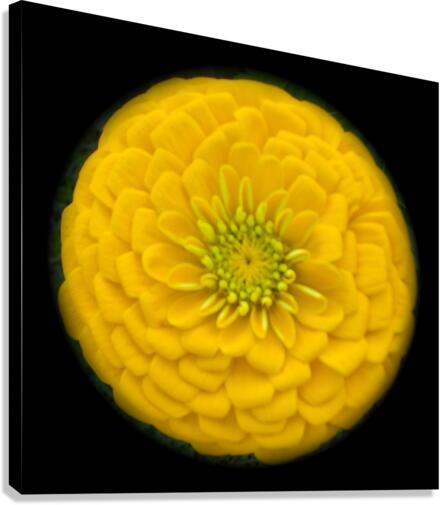 V60 Canvas Print