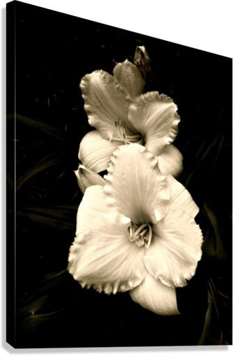 V64 Canvas Print