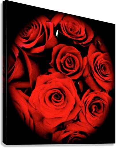 V66 Canvas Print