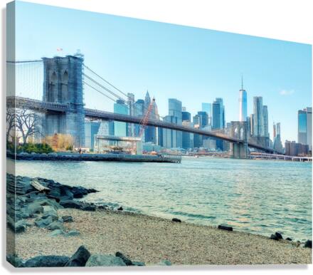 V86 Canvas Print