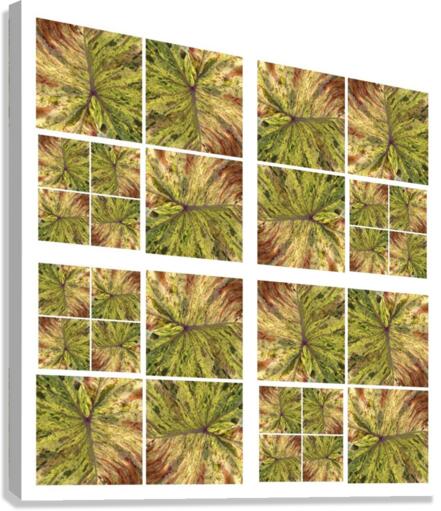 V87 Canvas Print
